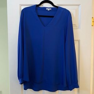 Pleione Blue Blouse
